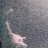 LakeMonster