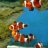 Billabong_fish