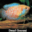 Fish_Hobbyist25