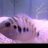 mike_truong_91