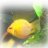 JJfishtank