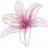Lilies