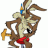 wileycoyote