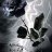 rocky_n_road