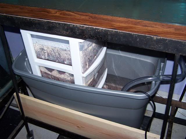100_0597Small.jpg