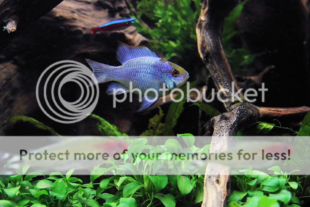 PictureT1i_3082_2.jpg