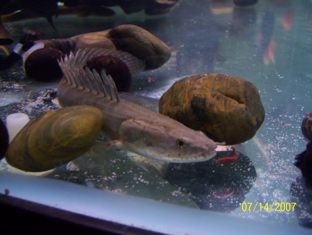 100_3253.jpg
