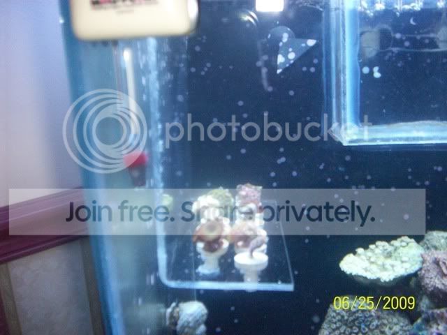 100_1656.jpg