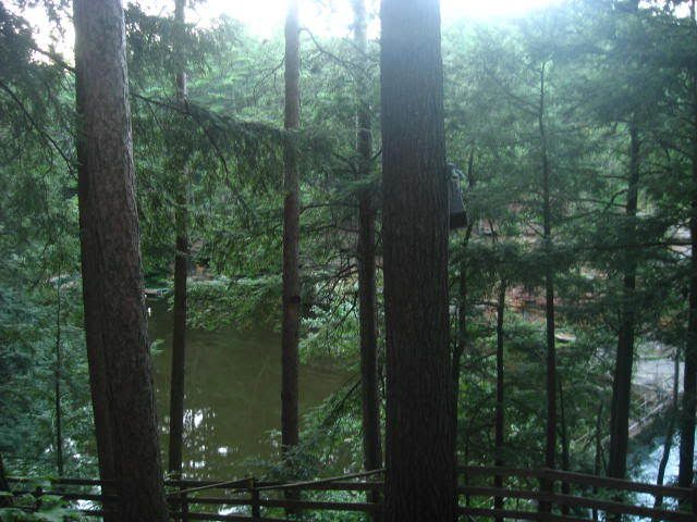 Picture067.jpg
