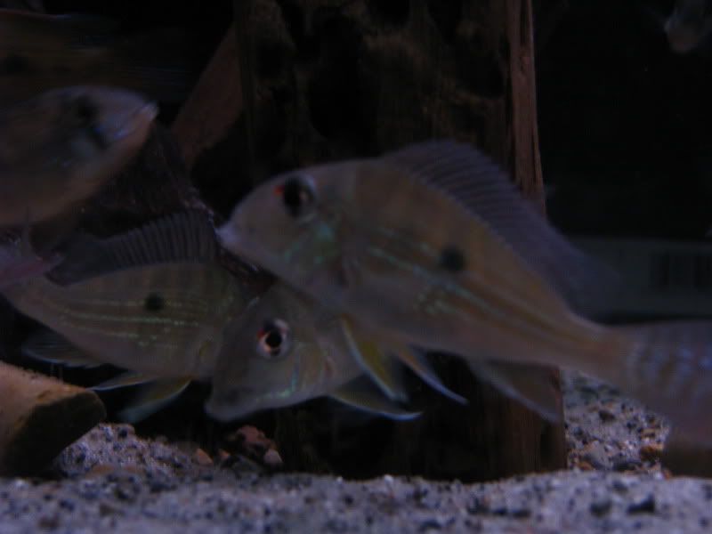 IMG_3565.jpg