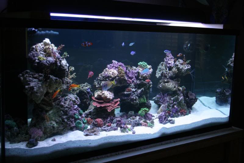 150g023.jpg