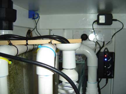 UserCraigOnNZ-4.jpg