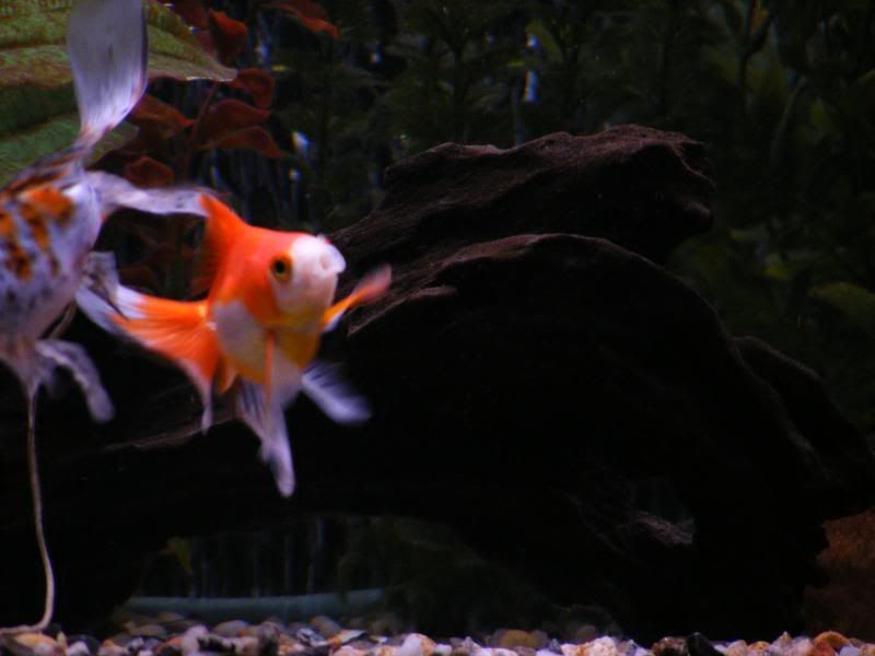 DSCF4167.jpg