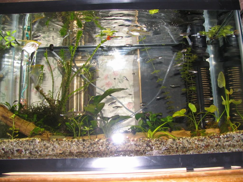 Picture1410065667.jpg