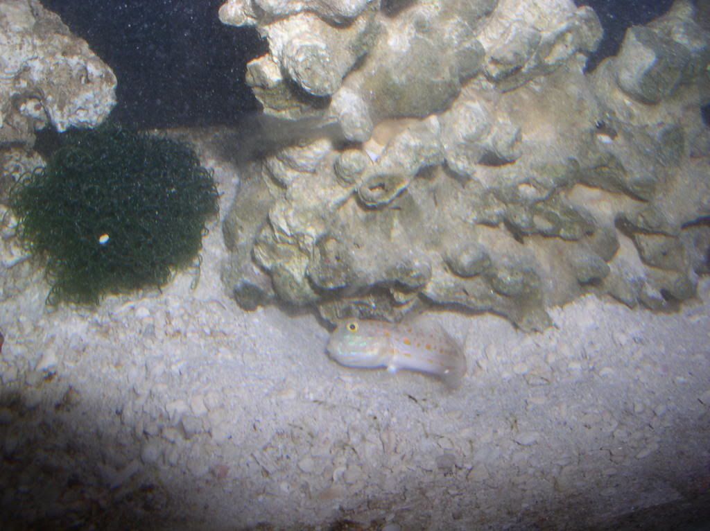 P1010029.jpg
