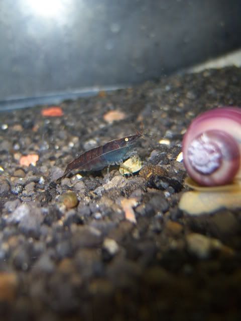 100_5395.jpg