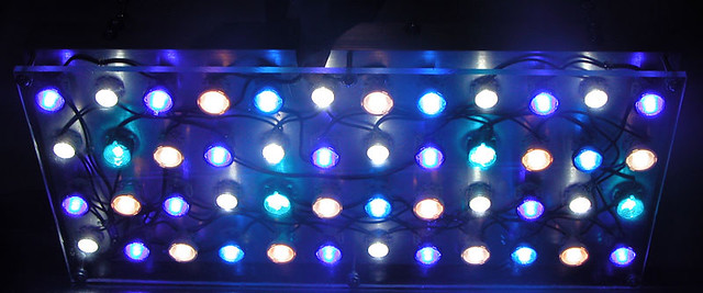 5253259840_9544e02dc4_z.jpg