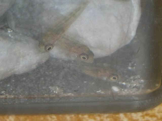 18nov05.jpg