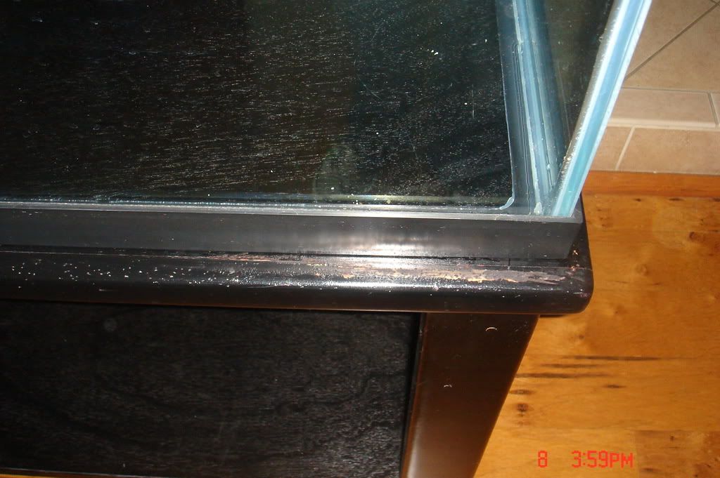 DSC01770.jpg