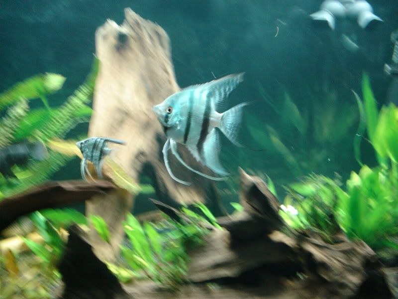 DSC02065.jpg