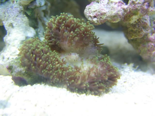 005-2.jpg