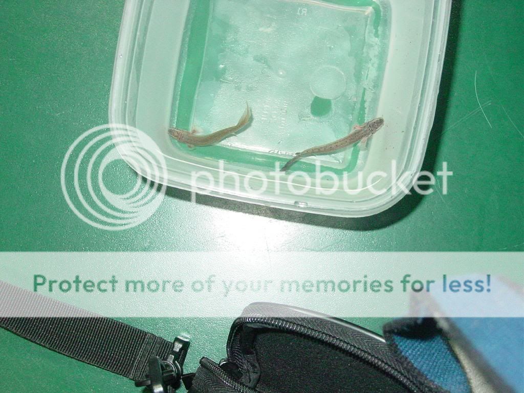 DSC07616.jpg