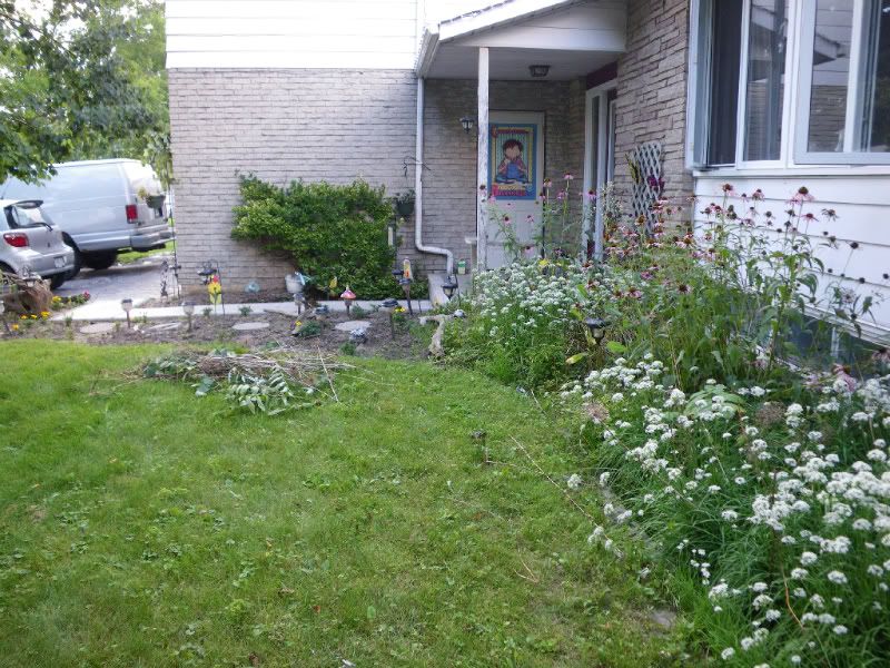 IMGP0710.jpg