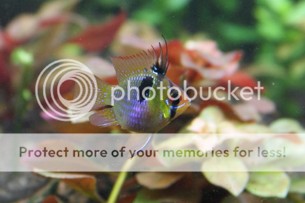 PictureT1i_1102.jpg