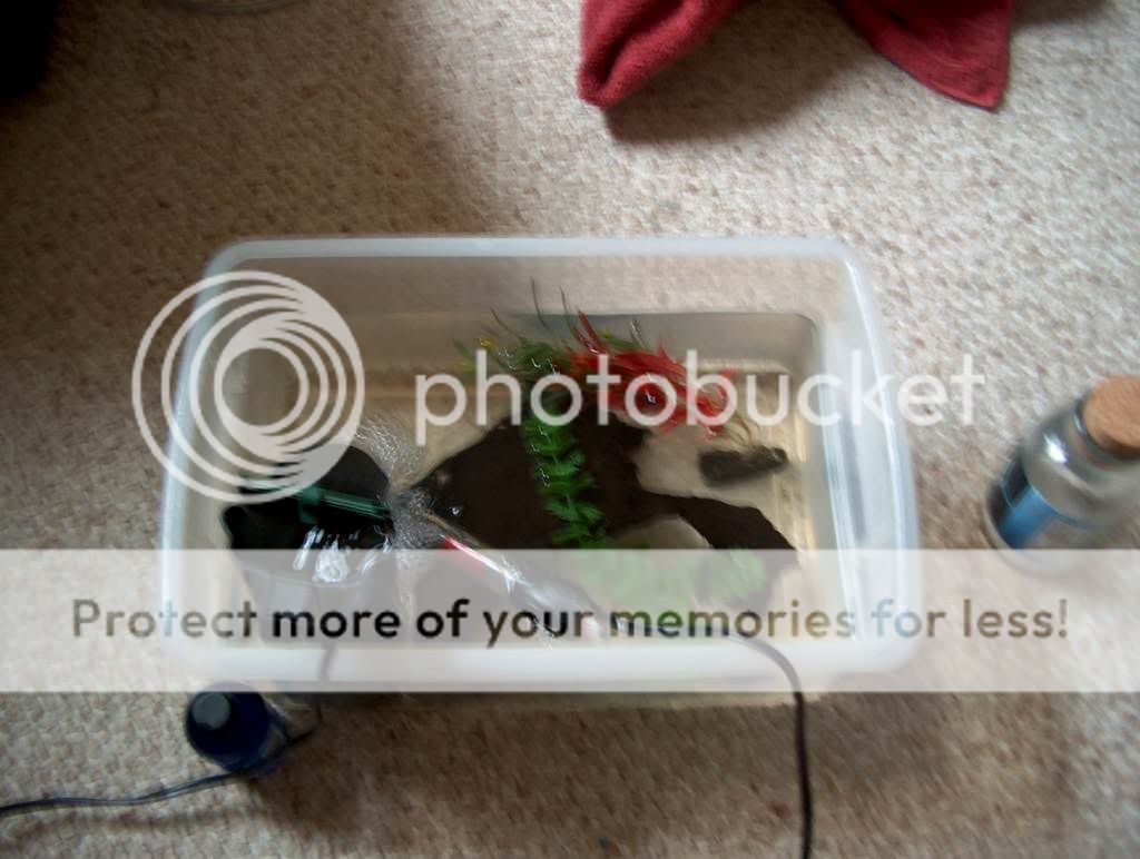 PictureorVideo027.jpg