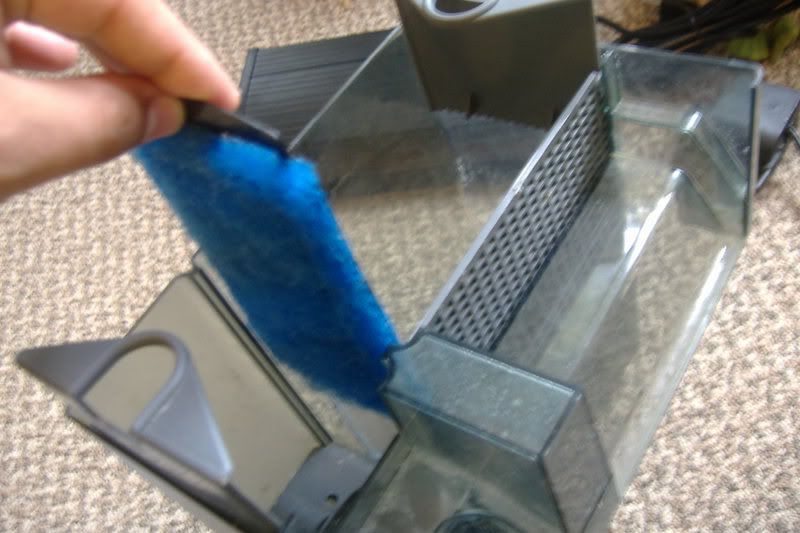 aquaclar70refug004.jpg