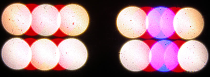 5795464055_23f3433716_b.jpg