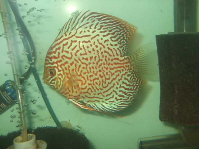 DSCF2427.jpg