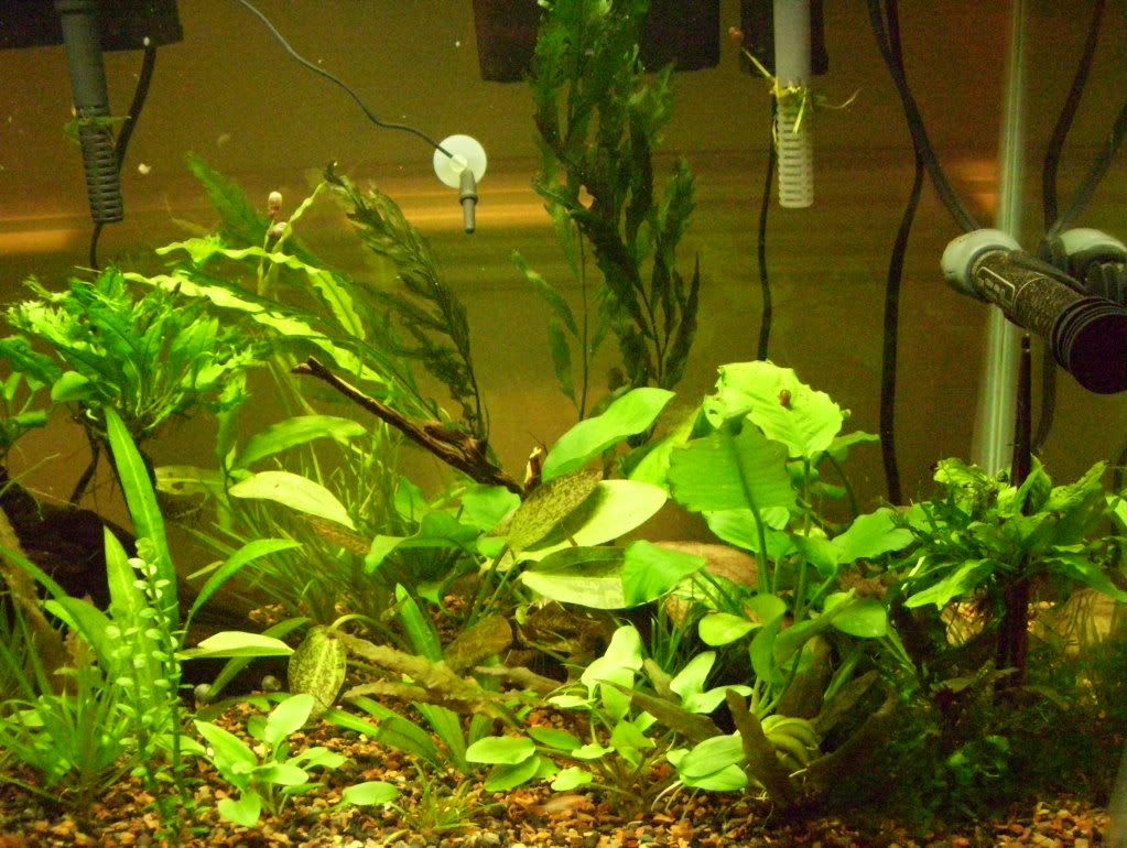 100_4338.jpg
