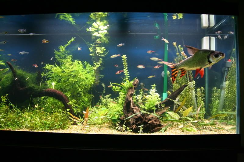 fishtank022.jpg