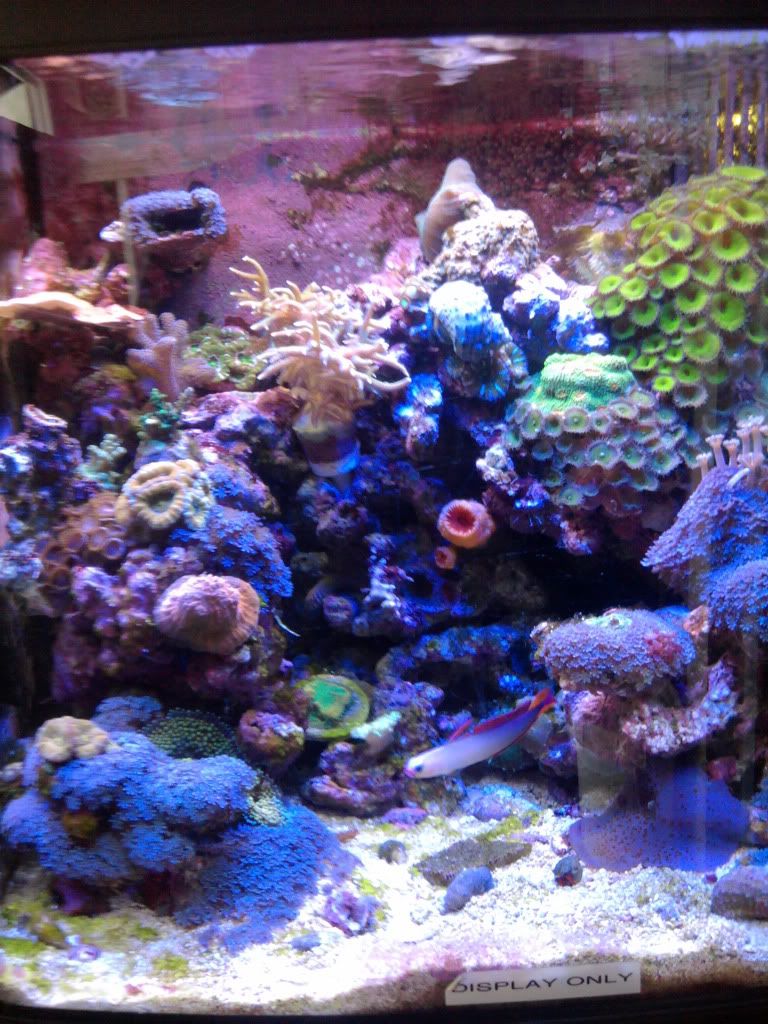 IMG_20110823_144106.jpg