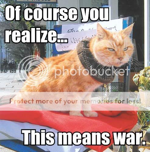 this-means-war.jpg