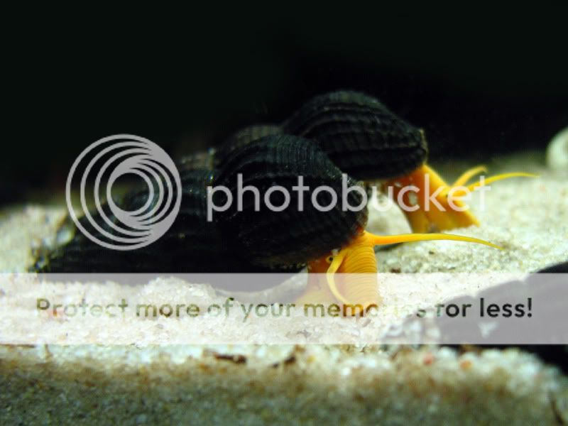 IMG_6793.jpg