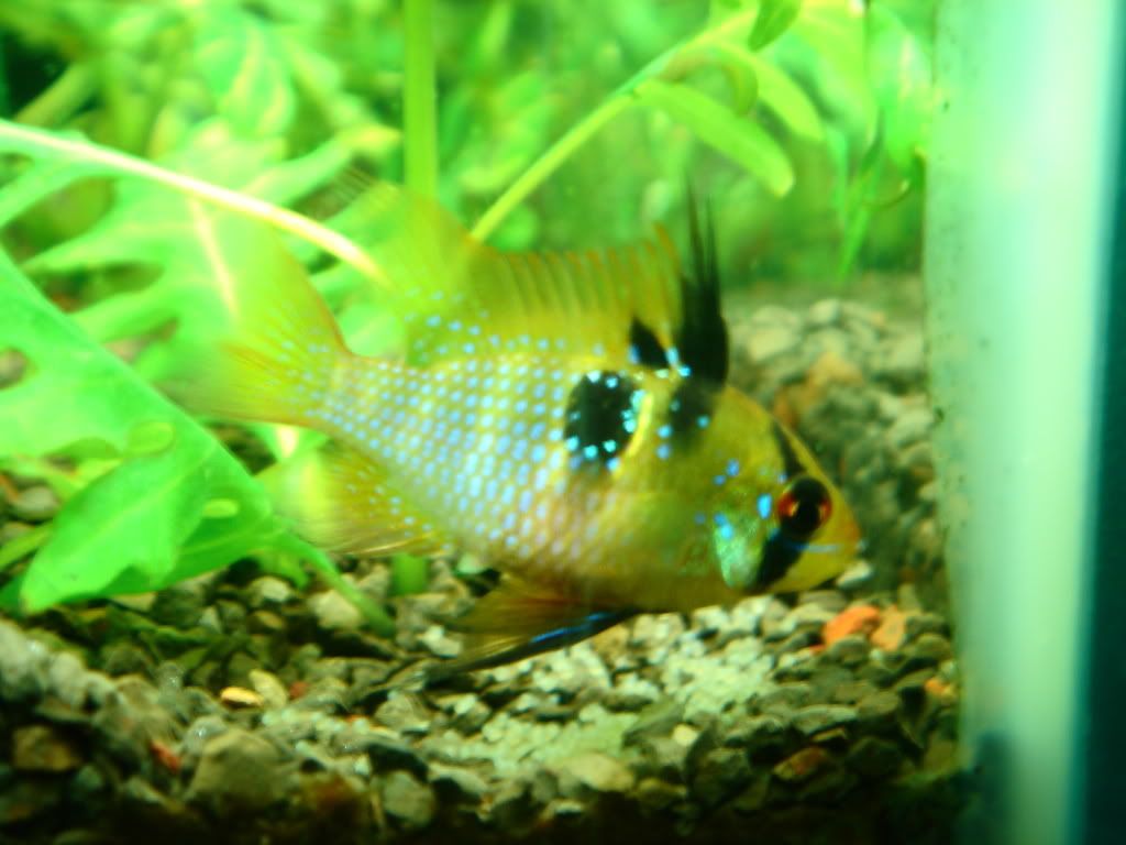 DSC00212.jpg