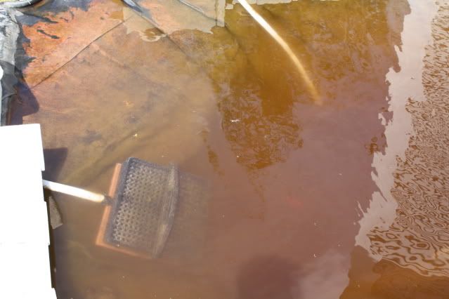 pond036.jpg