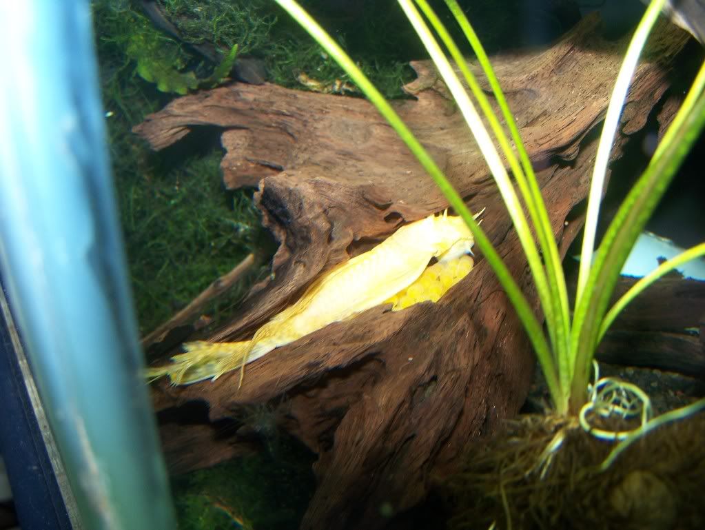 100_4630.jpg