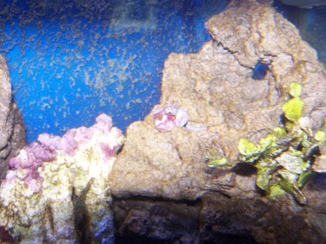 picture002.jpg