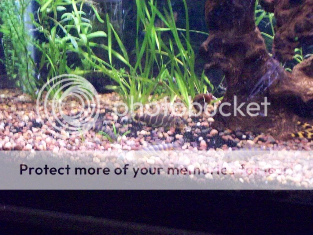 100_4594.jpg