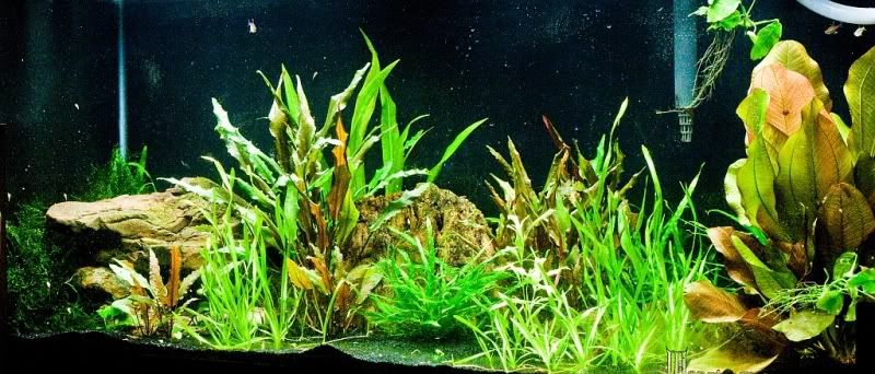 TankUpdate112211.jpg