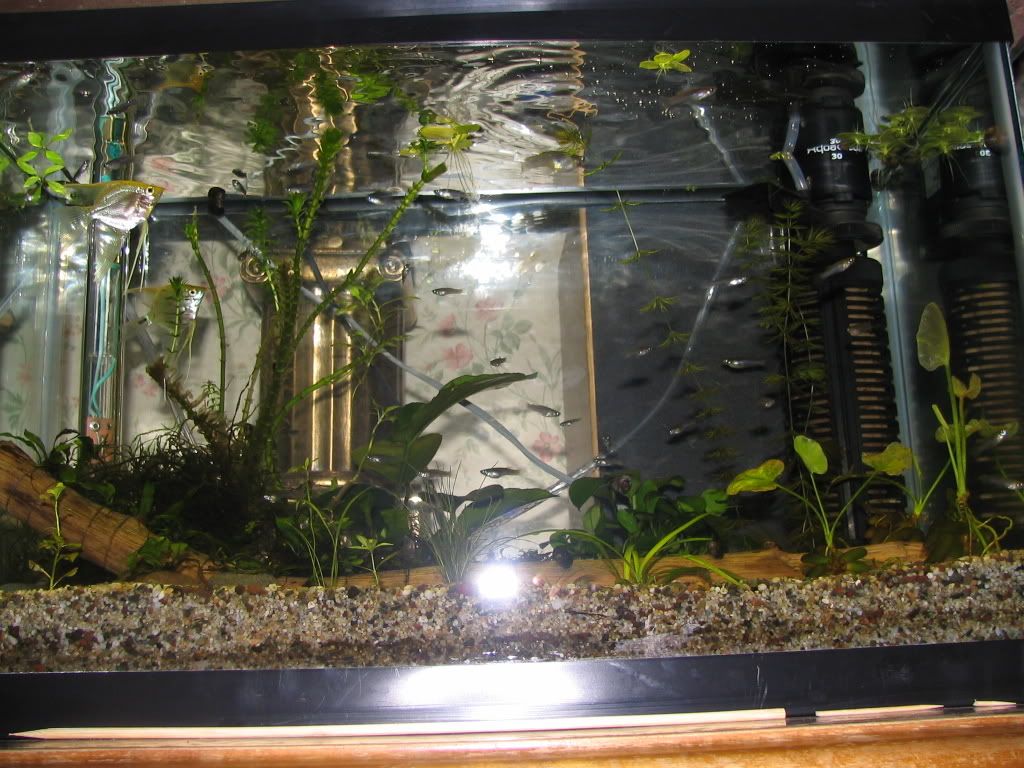 Picture1410065668.jpg