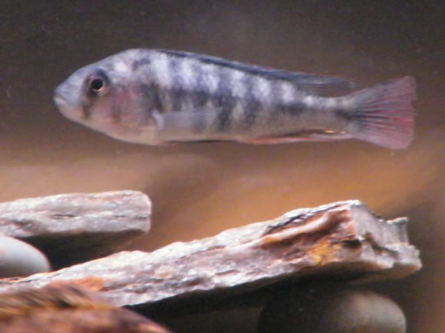 0901200073.jpg