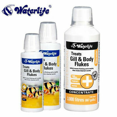 www.ebay.co.uk