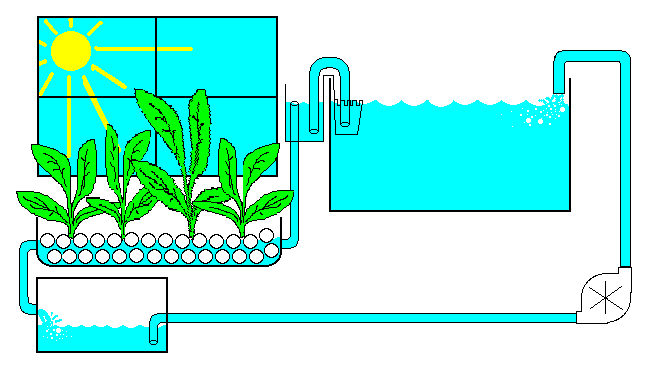 plantfil.gif