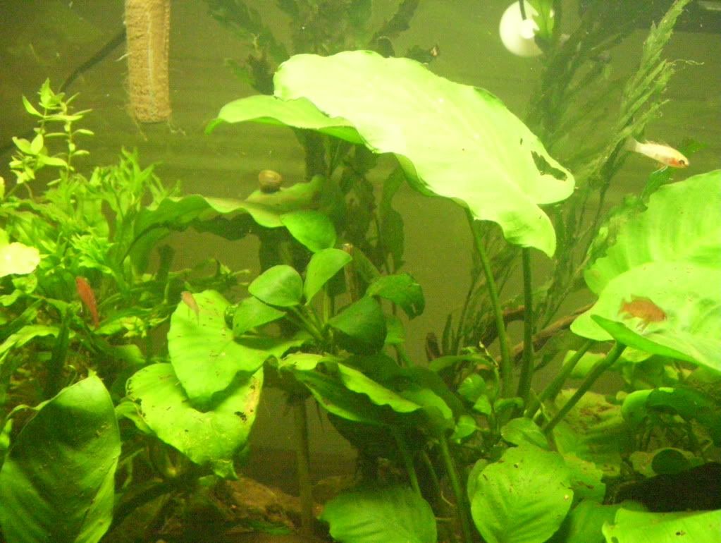 100_4670.jpg