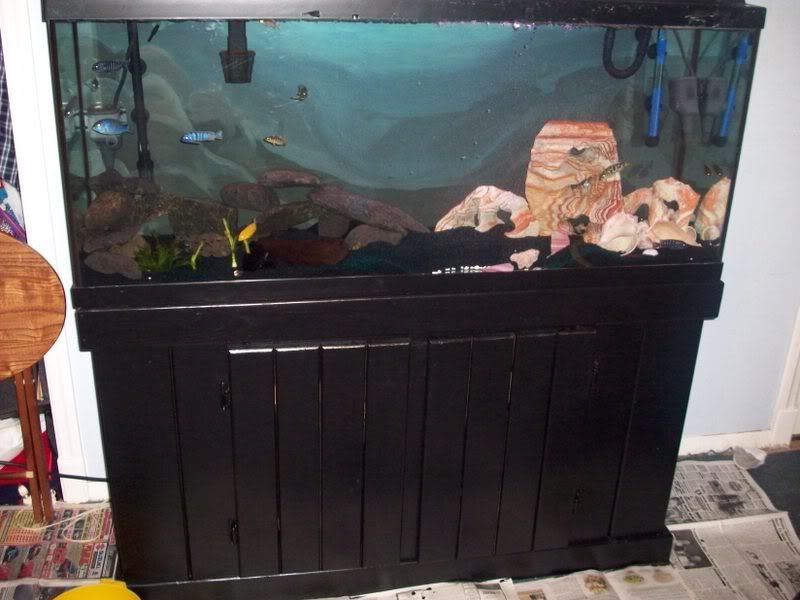 tank5.jpg