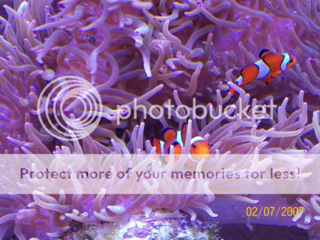 Picture005.jpg